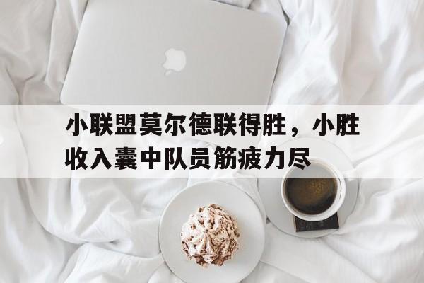 C7娱乐下载官网-小联盟莫尔德联得胜，小胜收入囊中队员筋疲力尽(莫尔德的比赛日程)